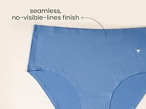 Buy_Blossom_bonded panty_hipster_lightweight_polyamide_high waist_cotton gusset lining_blue grey_1pack