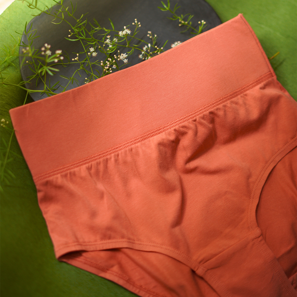 Buy_Blossom_cotton_Panty_high rise_gentle tummy control_assorted Panty_2Pack