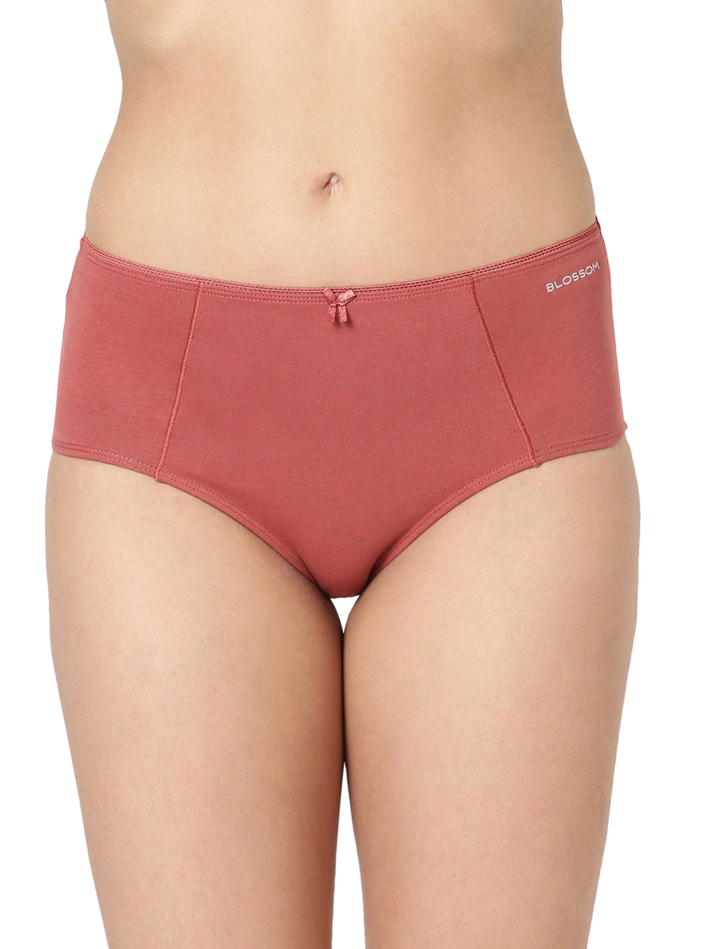Buy_Blossom_full coverage_lightweight_Panty_cotton_high waist_concealed Inner Elastic_assorted Panty_2Pack