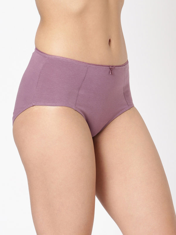 Buy_Blossom_full coverage_lightweight_Panty_cotton_high waist_concealed Inner Elastic_assorted Panty_2Pack