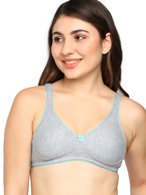 Buy_Blossom_tshirt_bra_Brilliant_cotton_polyester_non-padded_moulded_cups_Grey