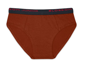 Kids Buzz Brief - Cotton Boys Brief Pack of 3