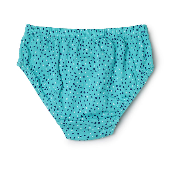 blossom-fairy dots(pack of 3)-assorted9-girl panty-junior