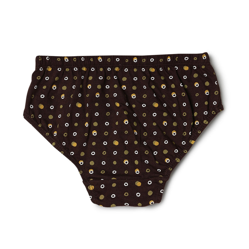 blossom-fairy dots(pack of 3)-assorted1-girl panty-junior