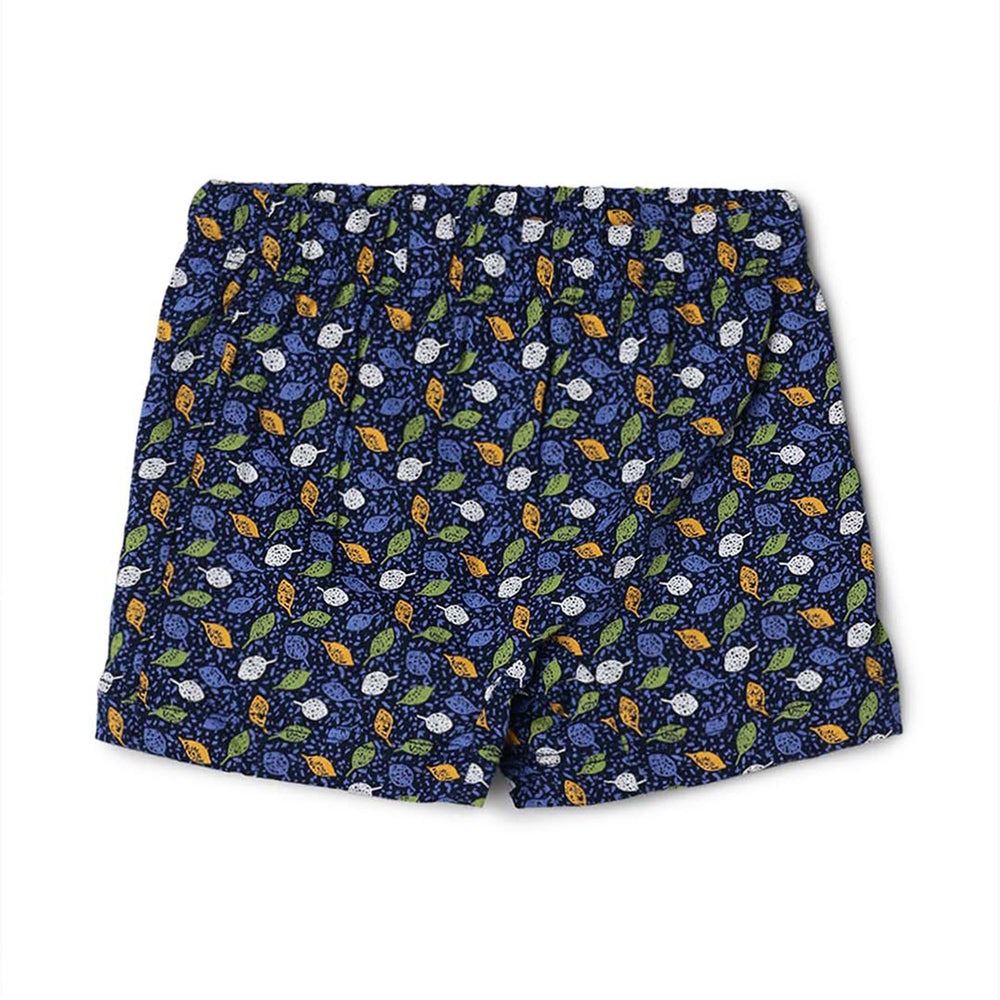 Kids Panty - Ariel Nicker Pack of 3