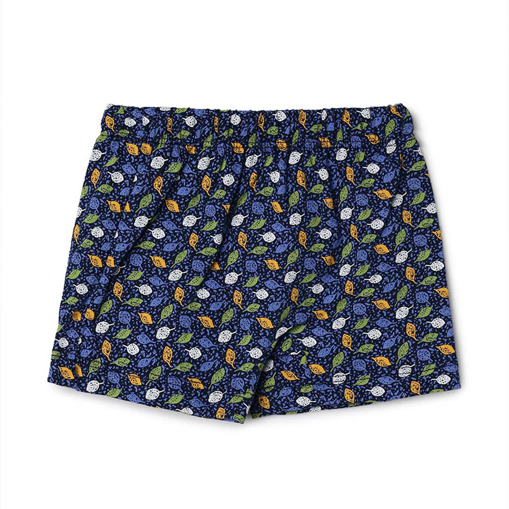 Kids Panty - Ariel Nicker Pack of 3