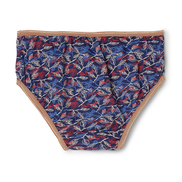 blossom-girly print(pack of 3)-assorted5-girls panty-junior