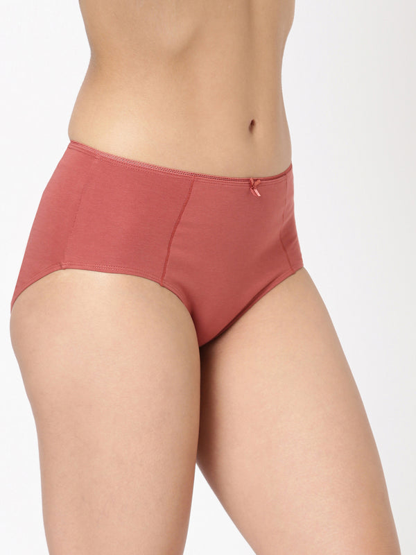 Hug U Panty Pack of 2 - Stretch Cotton With Feminine Touch