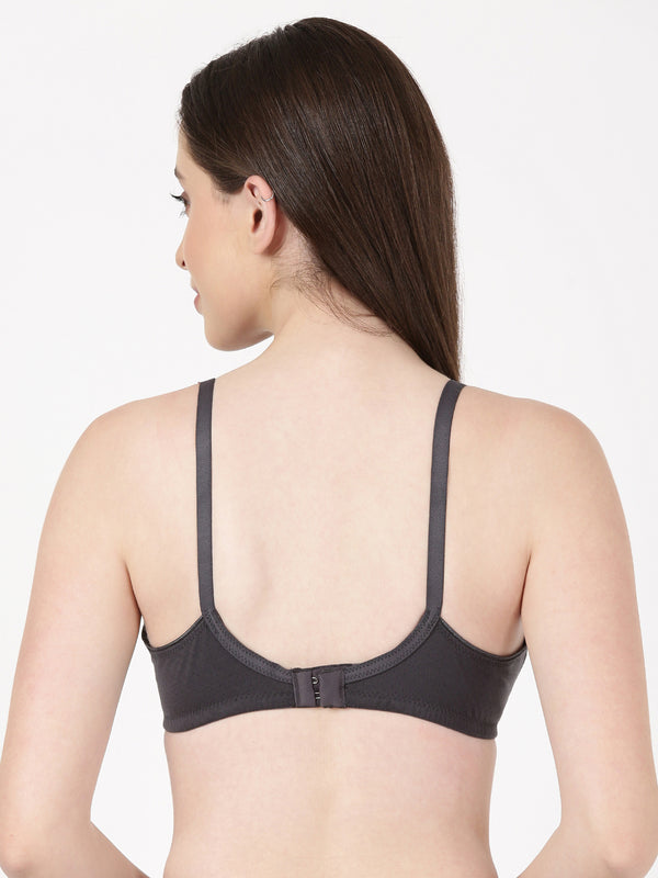 Lovely Pad - Lightly Padded Lace Trim Cotton Bra