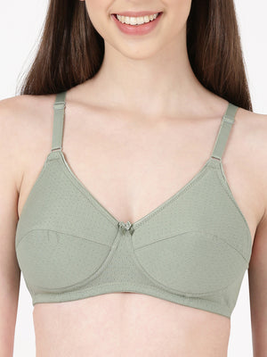 Lovely Pad - Lightly Padded Lace Trim Cotton Bra