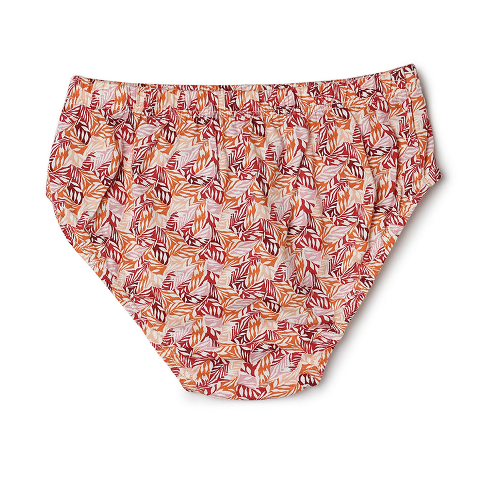 blossom-magic print(pack of 3)-assorted1-girls panty-junior