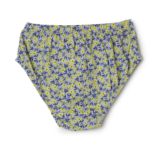 blossom-magic print(pack of 3)-assorted8-girls panty-junior