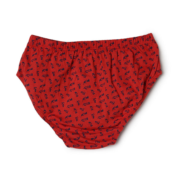 Kids Panty - Softie Print Pack of 3
