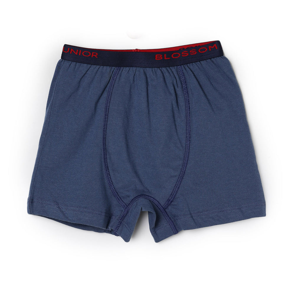 Kids Trunk-Max Trunk - Pack of 2 - 100% Cotton Underwear