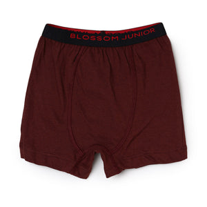 Kids Trunk-Max Trunk - Pack of 2 - 100% Cotton Underwear