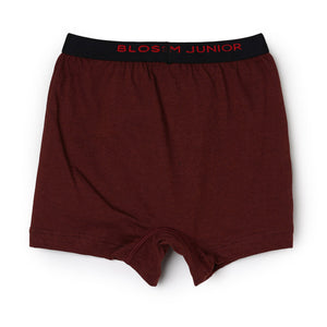 Kids Trunk-Max Trunk - Pack of 2 - 100% Cotton Underwear