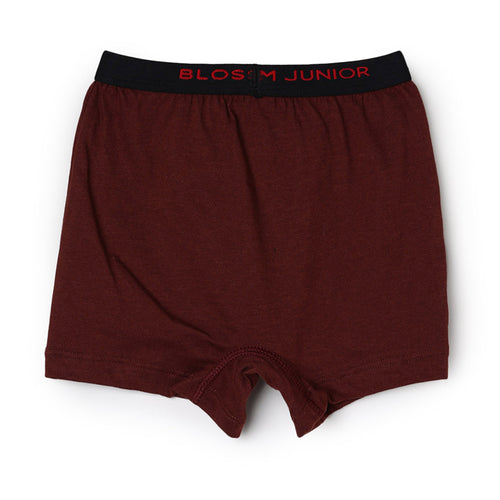 Kids Trunk-Max Trunk - Pack of 2 - 100% Cotton Underwear