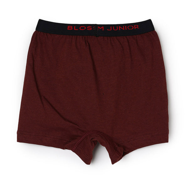 Kids Trunk Power Trunk - Cotton Boys Underwear Pack of 2