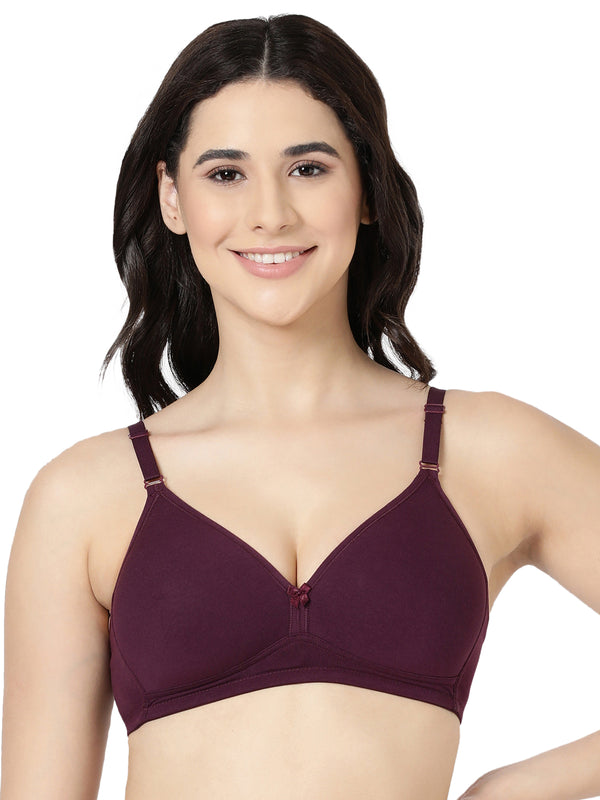 M Frame Pad Bra - Comfort, Style & All Day Support