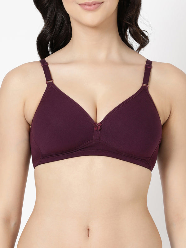 M Frame Pad Bra - Comfort, Style & All Day Support