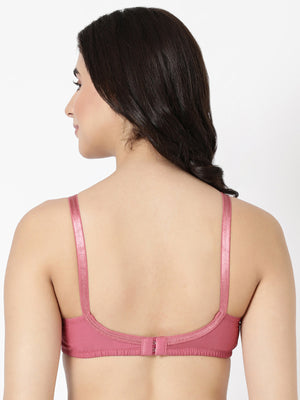 Pleasant Bra - Cotton Lace Semi Coverage, Comfort & Support