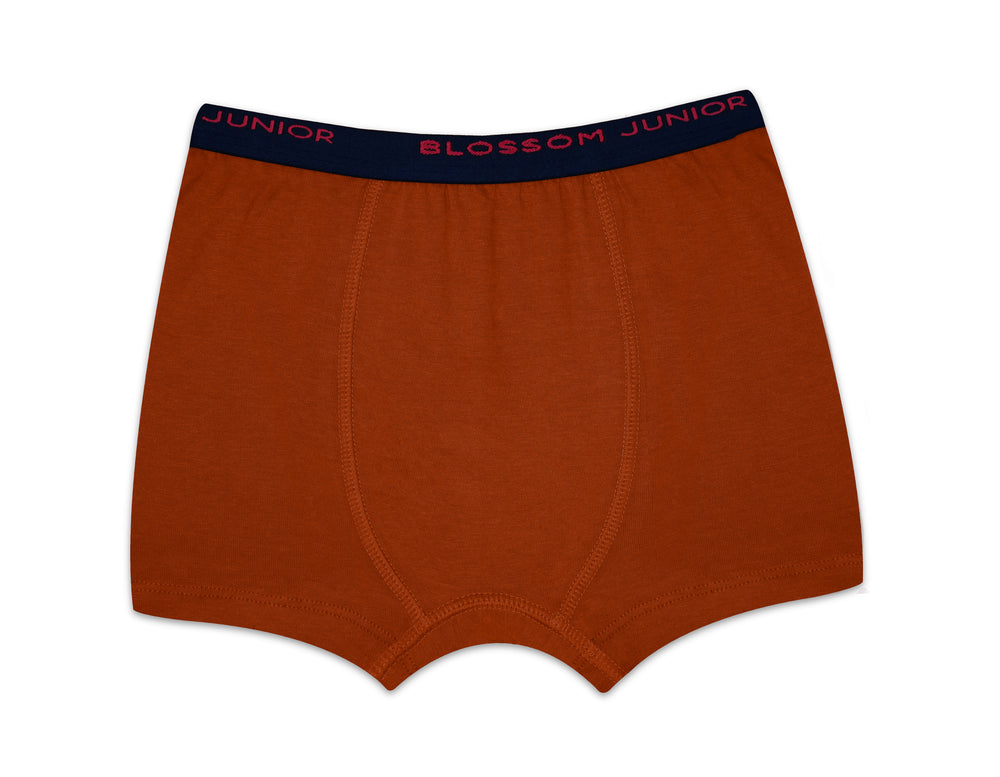 Max Trunk - Kids Trunk 100% Cotton Underwear Pack of 2