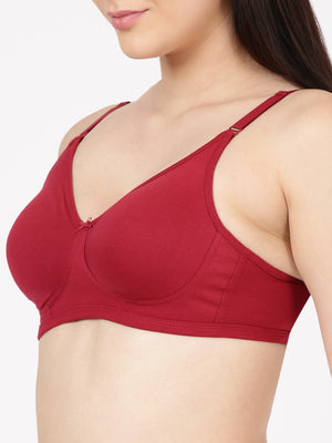 Ringlet Bra - Everyday Comfort With Side Support & U-back