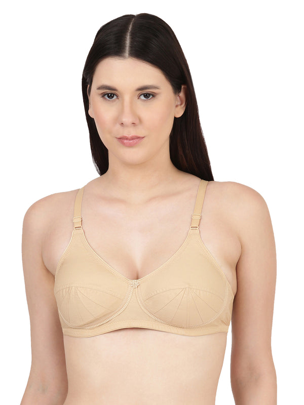 Saree Bra - Panel Structured Designed Support Bra