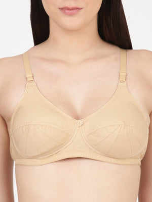 Saree Bra - Panel Structured Designed Support Bra