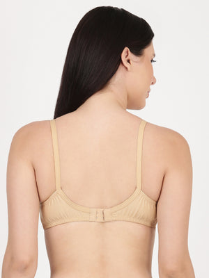 Saree Bra - Panel Structured Designed Support Bra