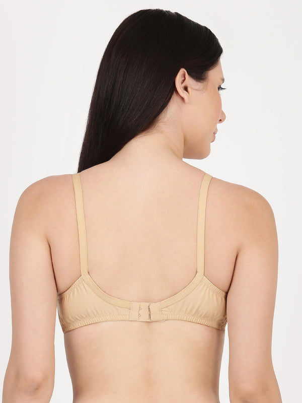 Saree Bra - Panel Structured Designed Support Bra
