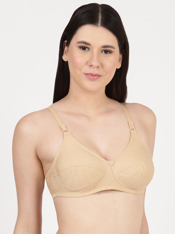 Saree Bra - Panel Structured Designed Support Bra