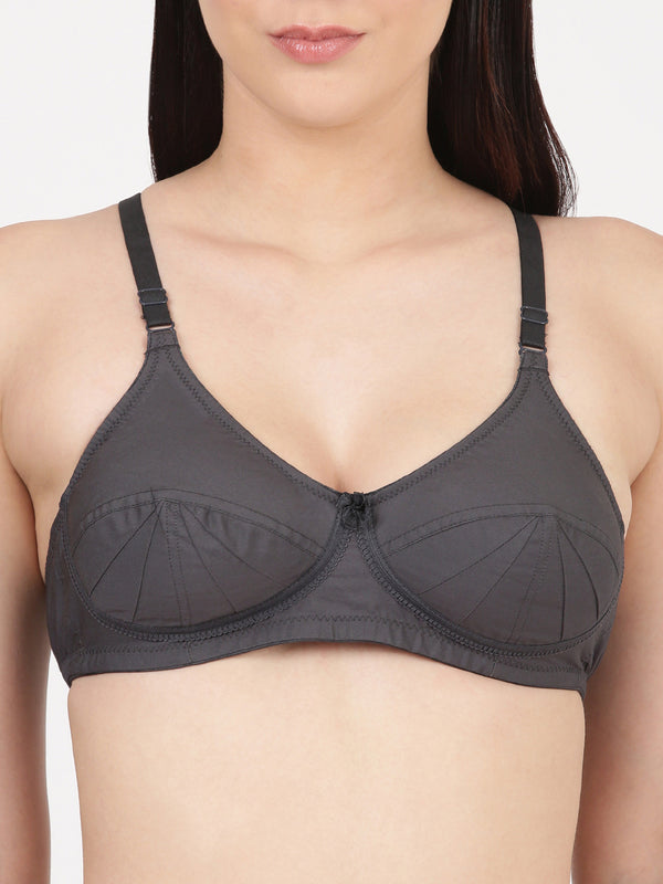 Saree Bra - Panel Structured Designed Support Bra