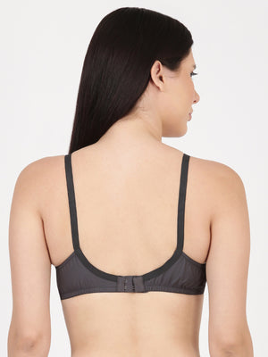 Saree Bra - Panel Structured Designed Support Bra