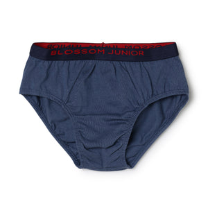 blossom-smart boys(pack of 3)-assorted3-boys brief-junior