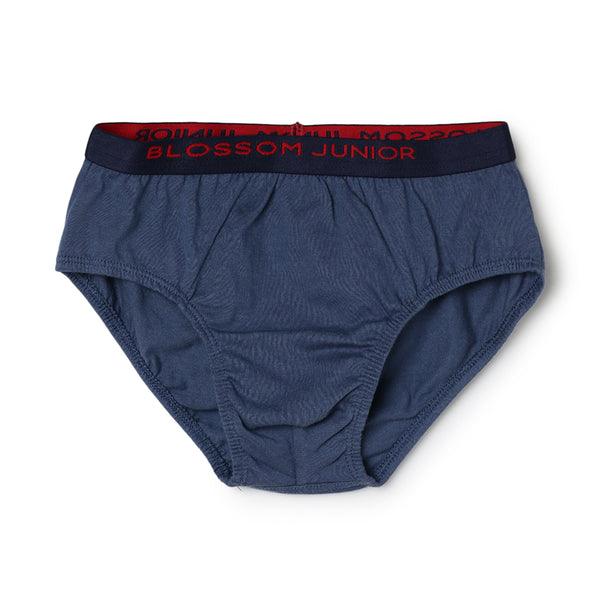 blossom-smart boys(pack of 3)-assorted3-boys brief-junior