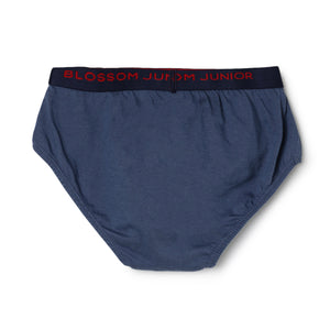 blossom-smart boys(pack of 3)-assorted4-boys brief-junior