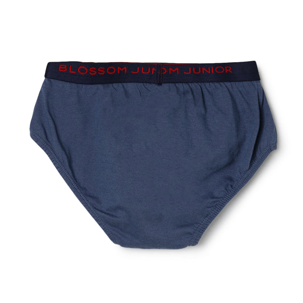 blossom-smart boys(pack of 3)-assorted4-boys brief-junior