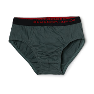 blossom-smart boys(pack of 3)-assorted5-boys brief-junior