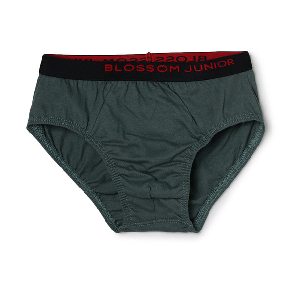 blossom-smart boys(pack of 3)-assorted5-boys brief-junior
