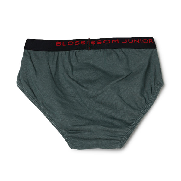 blossom-smart boys(pack of 3)-assorted6-boys brief-junior