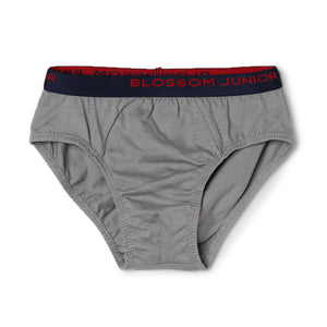 blossom-smart boys(pack of 3)-assorted7-boys brief-junior