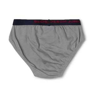 blossom-smart boys(pack of 3)-assorted8-boys brief-junior