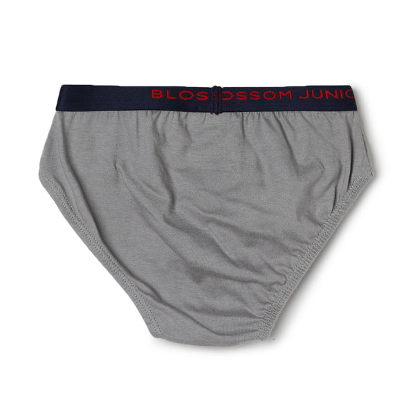 blossom-smart boys(pack of 3)-assorted8-boys brief-junior