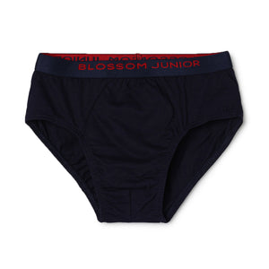 blossom-smart boys(pack of 3)-assorted9-boys brief-junior
