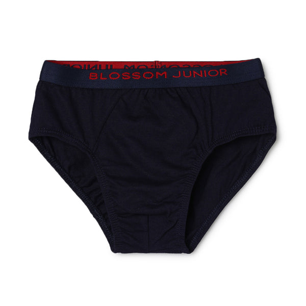 blossom-smart boys(pack of 3)-assorted9-boys brief-junior