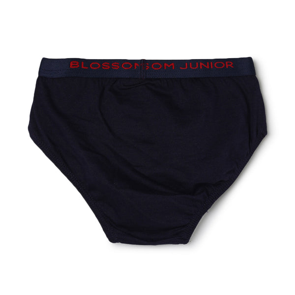 blossom-smart boys(pack of 3)-assorted10-boys brief-junior