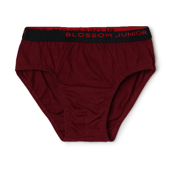 blossom-smart boys(pack of 3)-assorted11-boys brief-junior