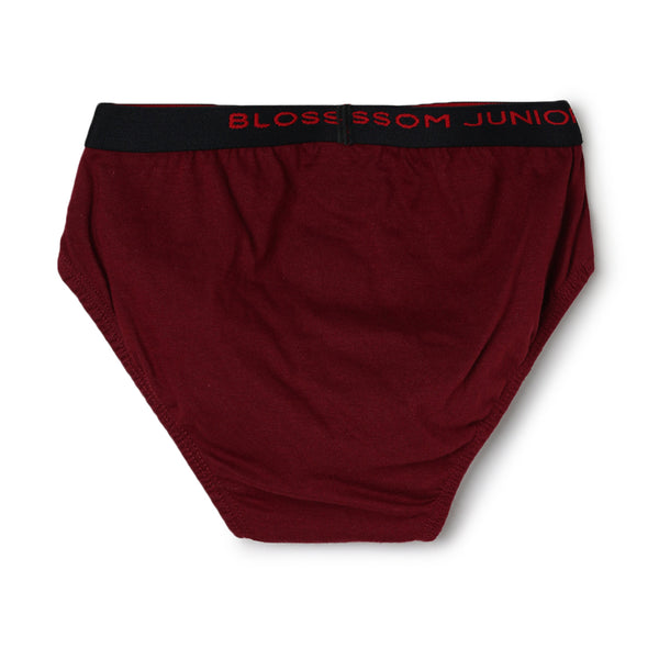 blossom-smart boys(pack of 3)-assorted12-boys brief-junior