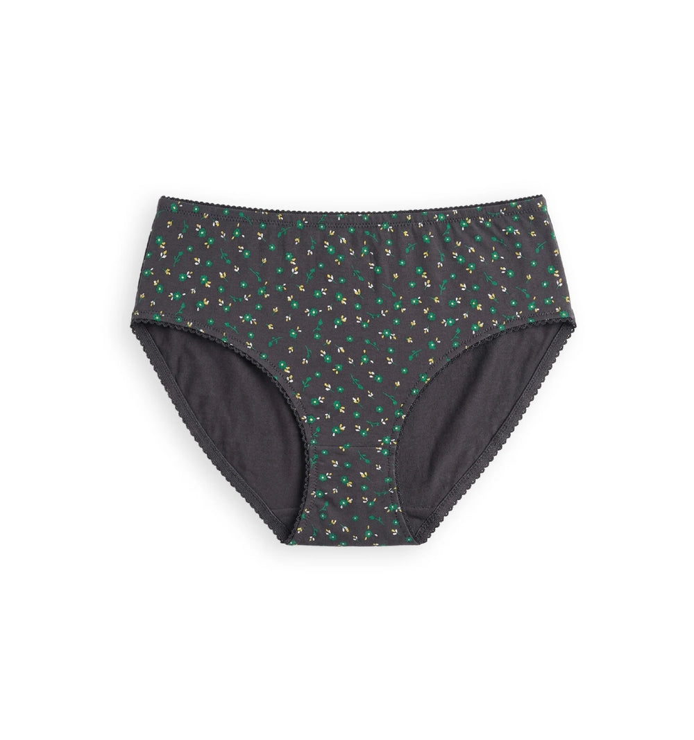 Zig Zag - Full Coverage  Mid-rise Hipster Panty With Scalloped Elastic, Playful Print _pack Of 3